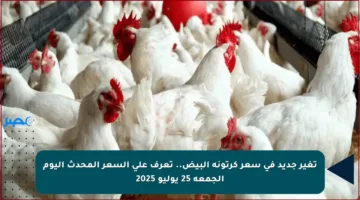 تغير جديد في سعر كرتونة البيض.. تعرف على السعر المحدث اليوم الجمعة 25 يوليو 2025